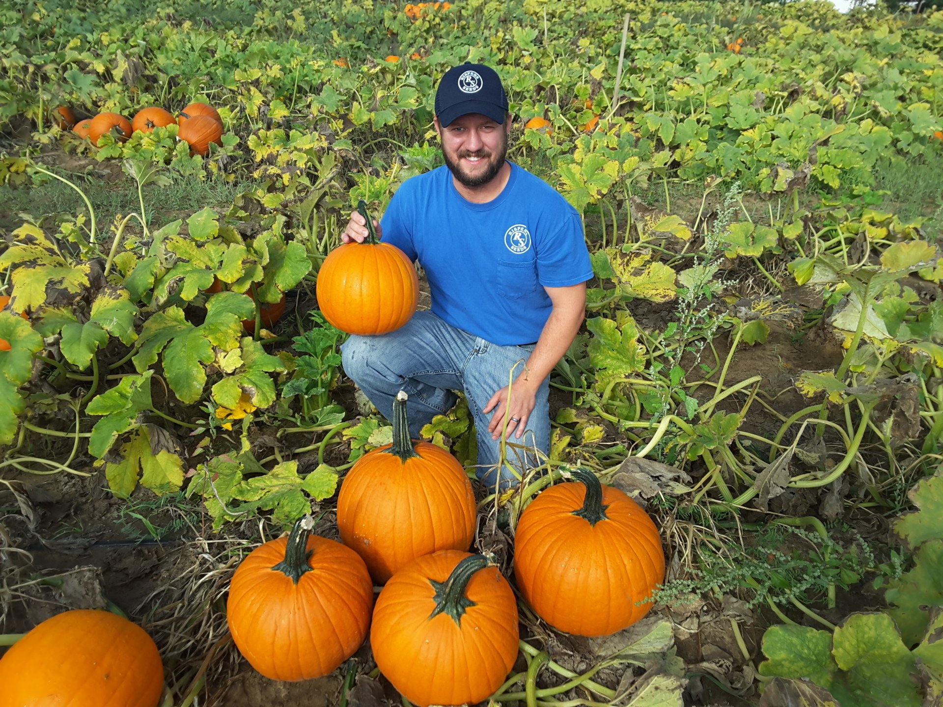 Commercial Farmers — Brock Rispens in Beecher, IL Commercial Farmers — Brock Rispens in Beecher, IL