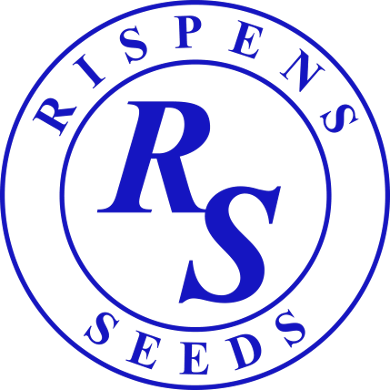 Rispens Seeds Rispens Seeds