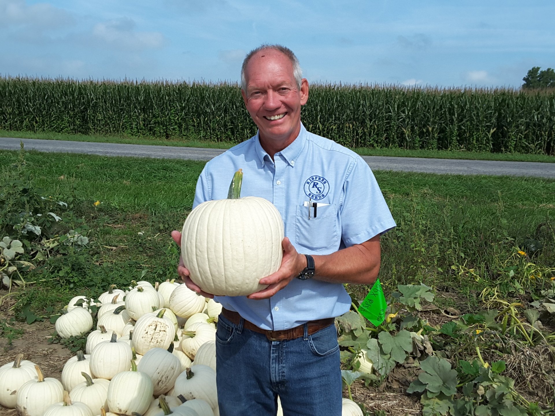 Vegetable Seed — Ross Rispens in Beecher, IL Vegetable Seed — Ross Rispens in Beecher, IL