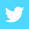 RS272451_Twitter Bird White On Blue CMYK-hpr