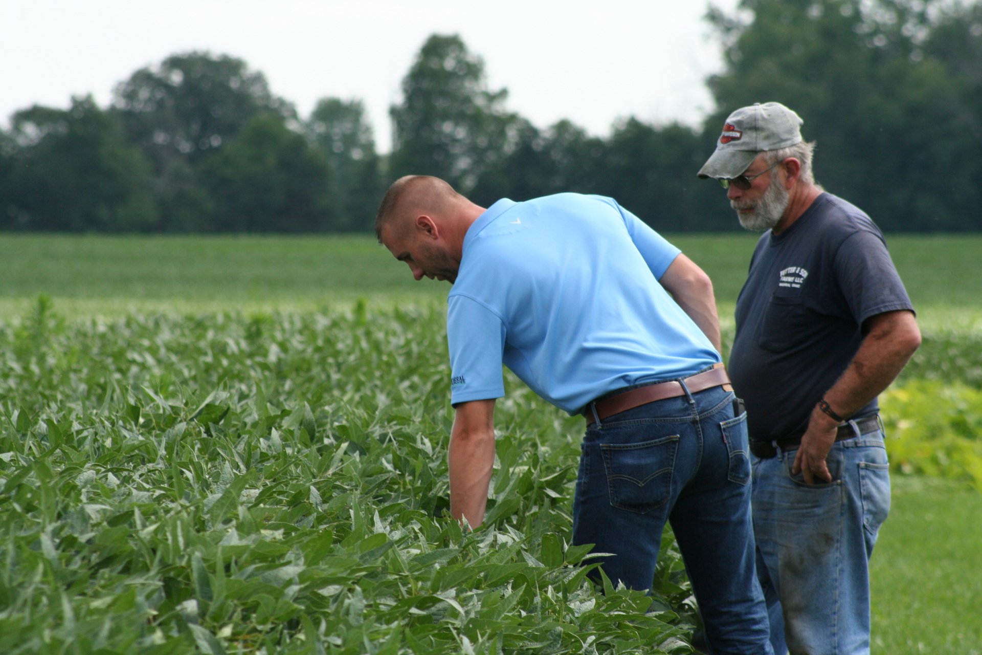 Morral Companies Leading the Way with Quality and Service