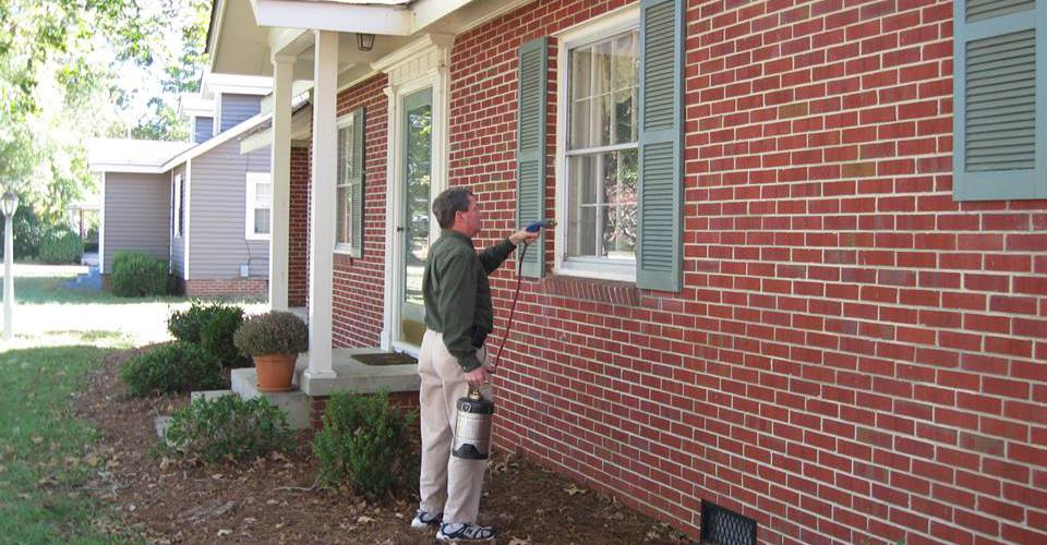 Pest Control Rocky Mount  Pest Control Rocky Mount, NC