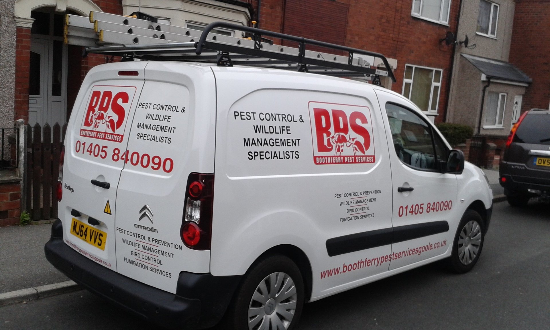 Pest control expert Boothferry Pest Services