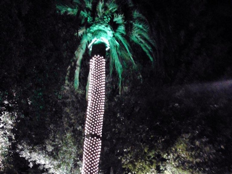 illuminazione giardini