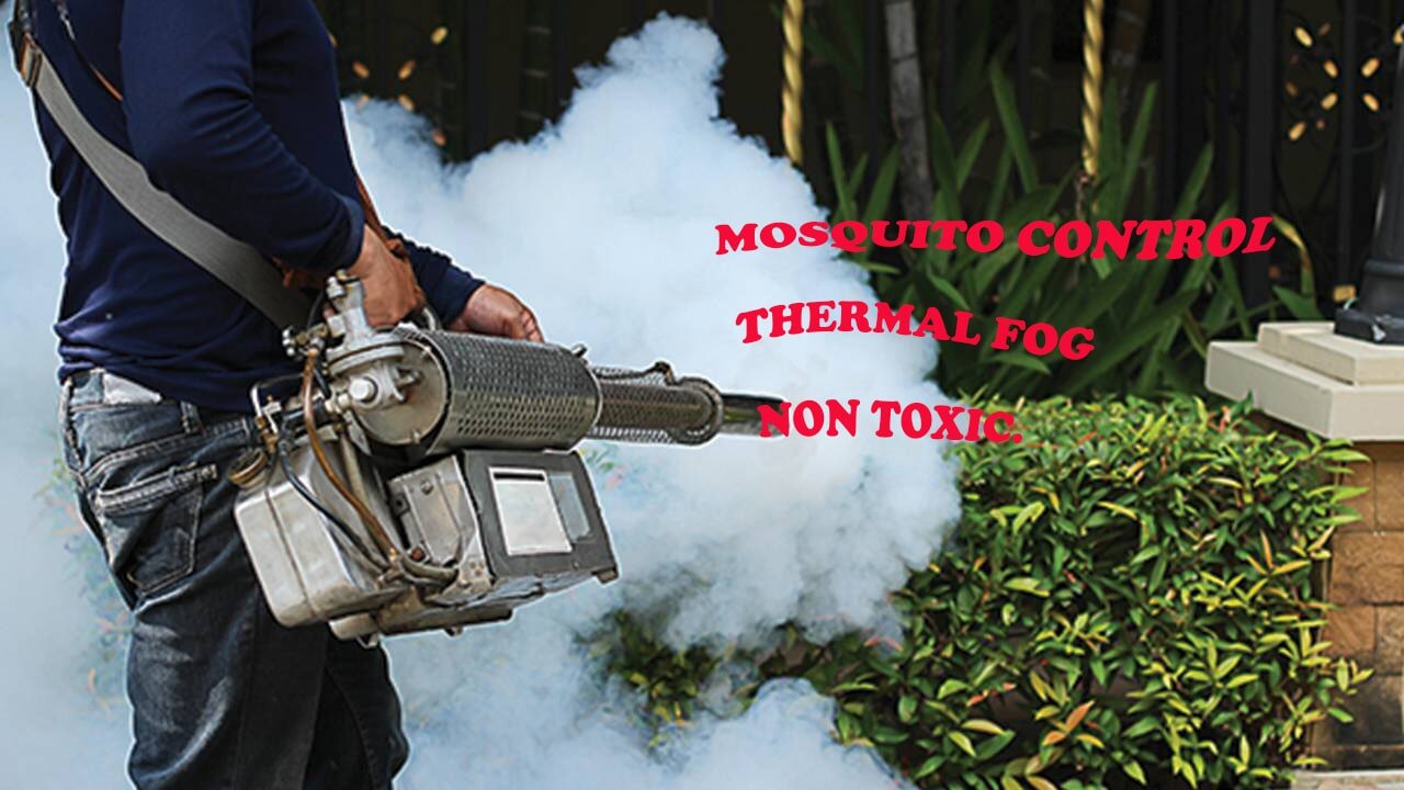 Pest Control & Termite Inspections Cairns Cairns Pest Control