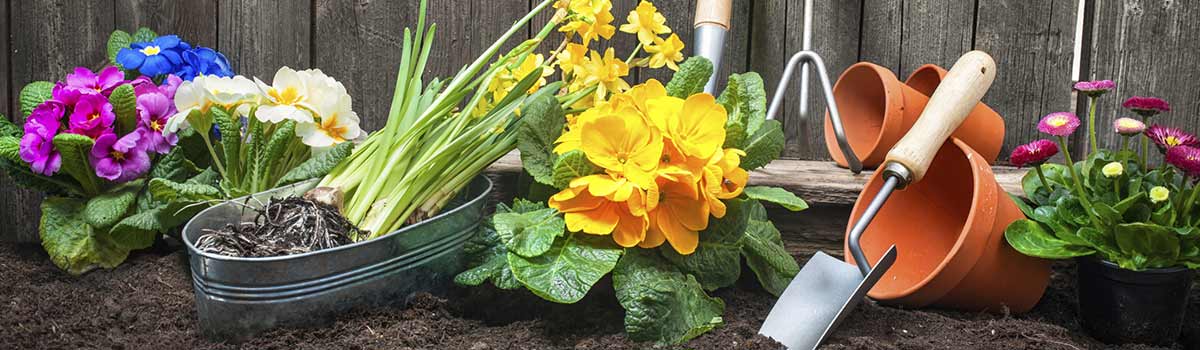 chris smiths happy gardeners equipments and flowers for the garden