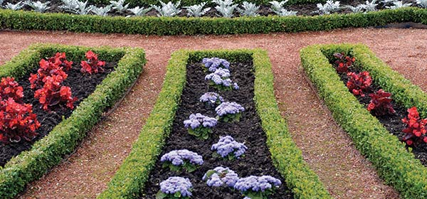 chris smiths happy gardeners well maintained garden pathway