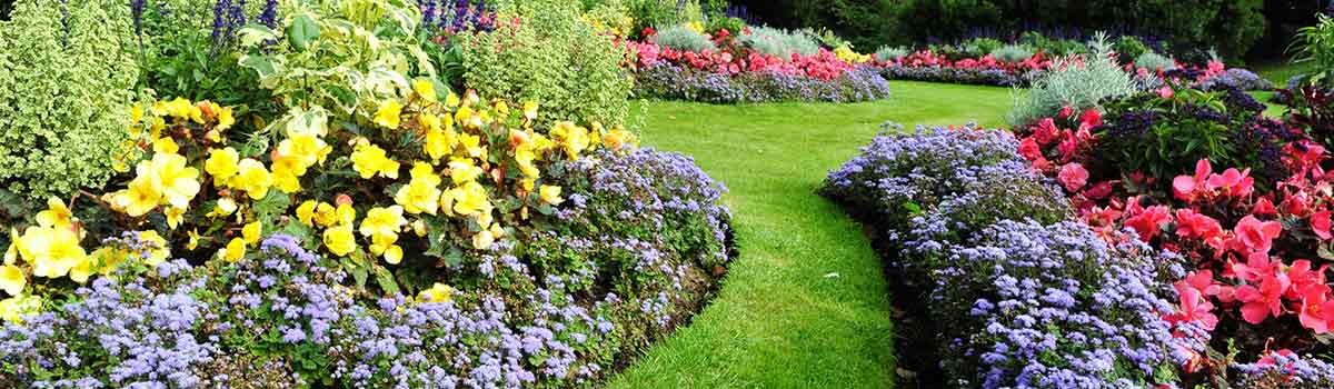 chris smiths happy gardeners garden pathway and flowers 