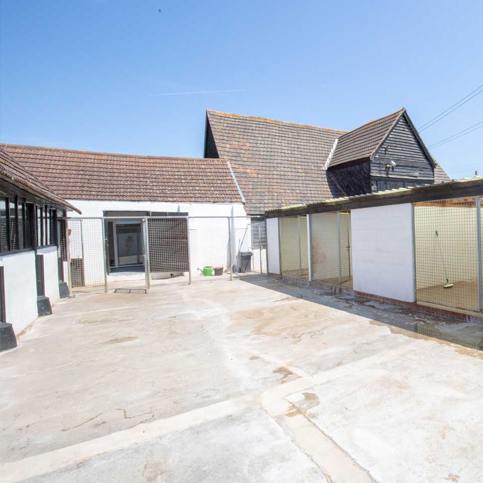 Dog Boarding Dog Kennels Barehams Dog Boarding Orsett