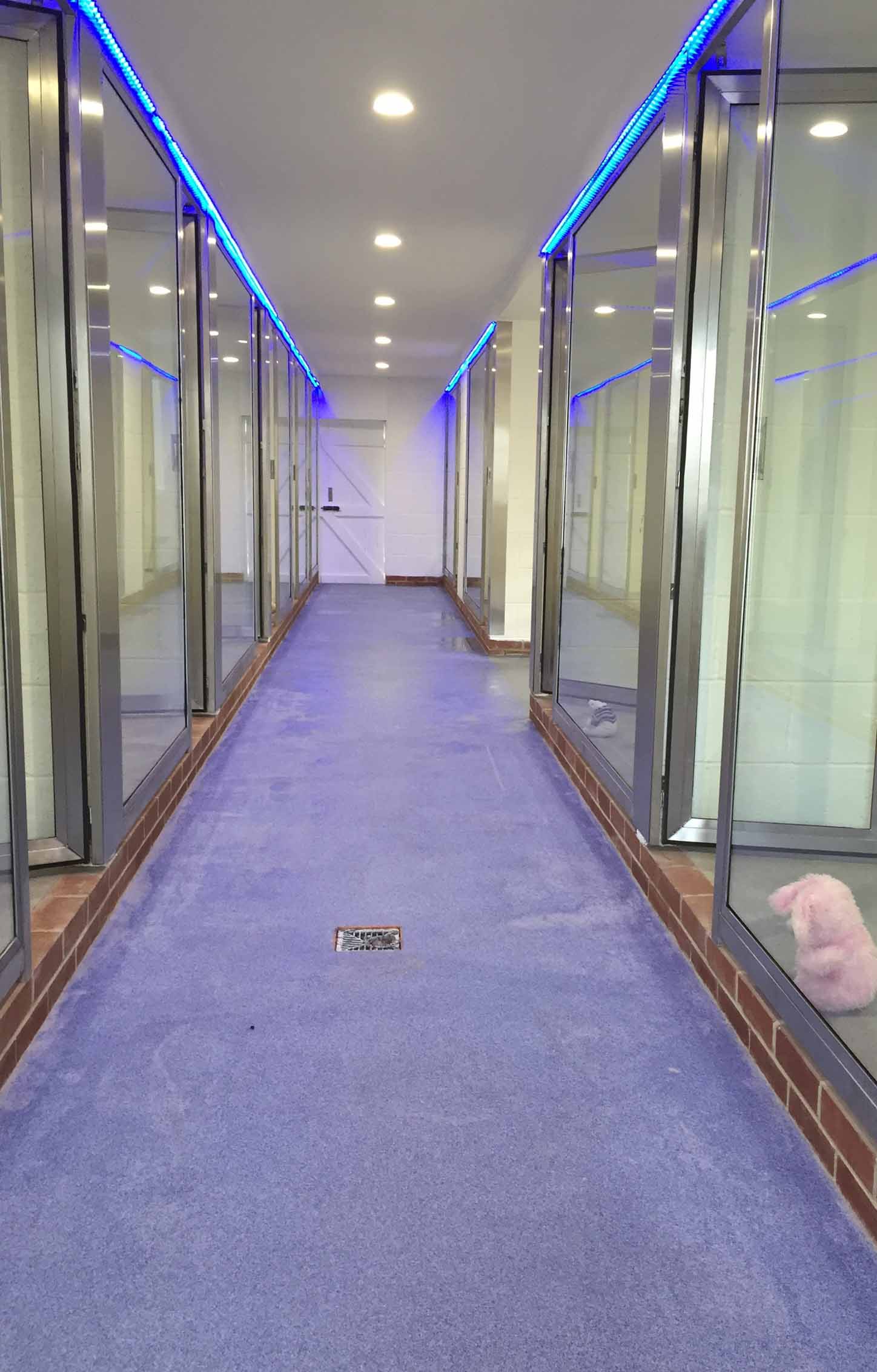 VIP Dog Boarding Barehams Boarding Orsett, Grays