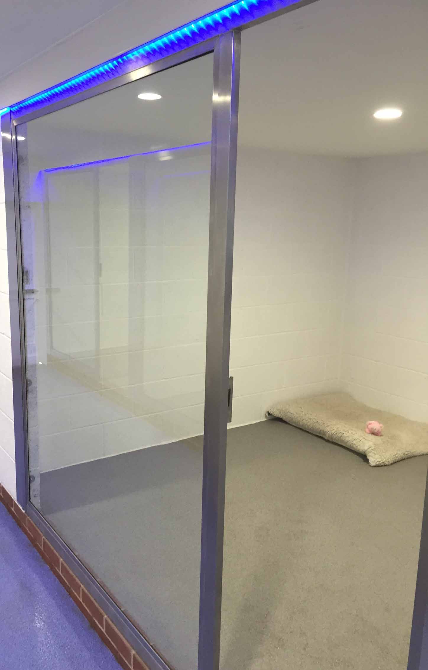 VIP Dog Boarding Barehams Boarding Orsett, Grays