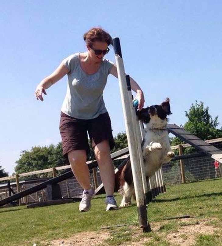 Barehams Boarding & Daycare Centre Dog Boarding Dog Training Cattery