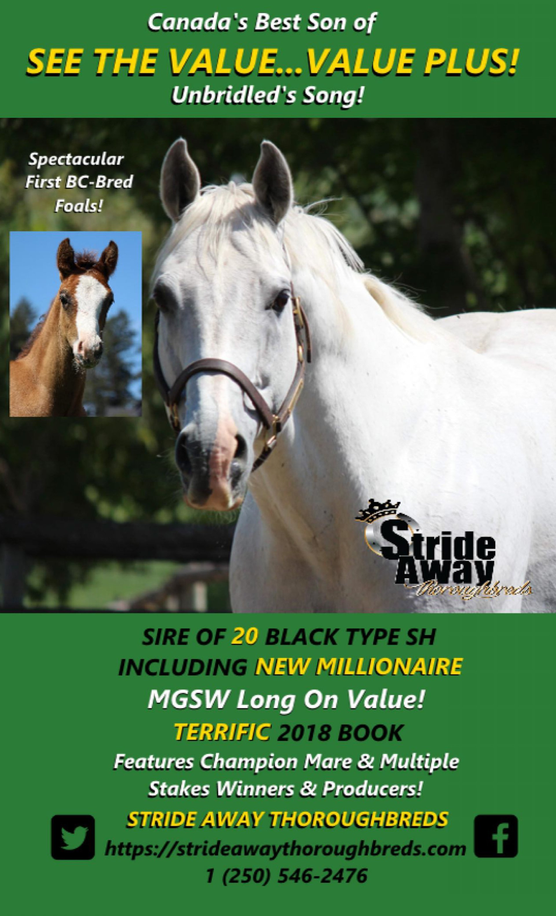 Canadian Thoroughbred Horse Society British Columbia Division