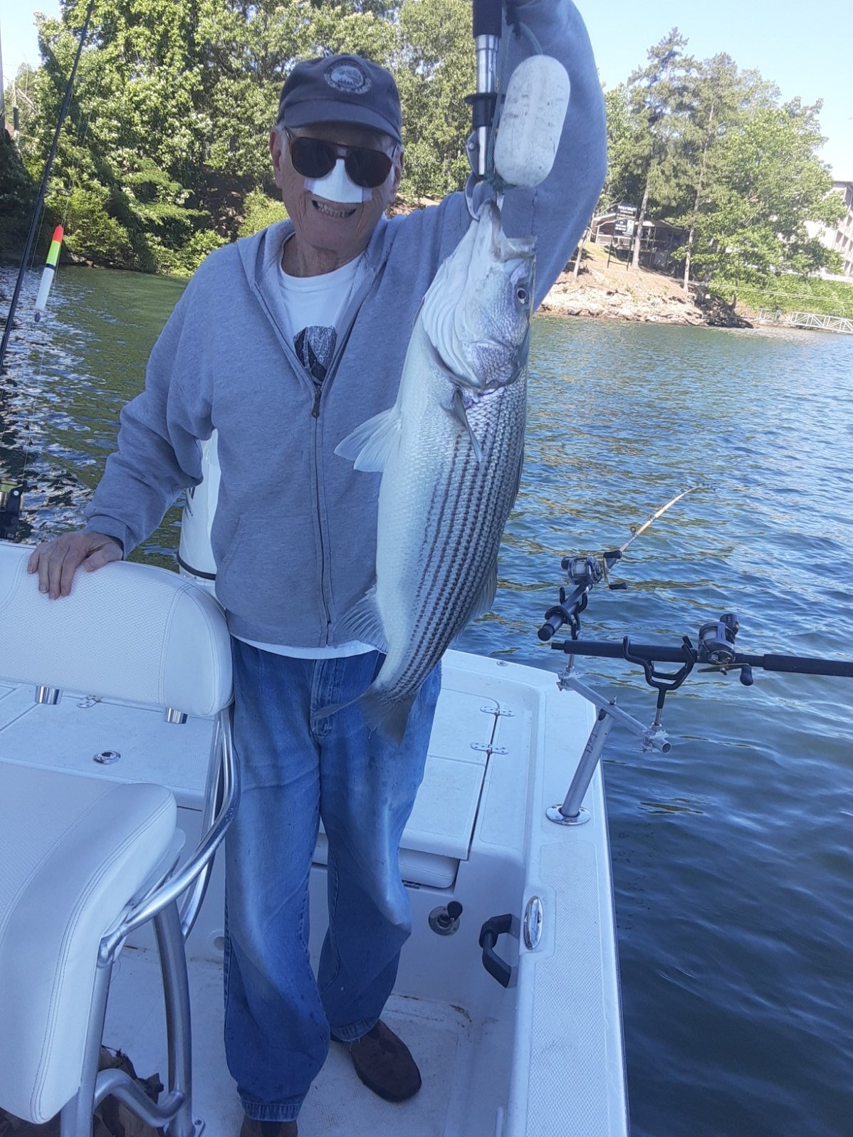 Smith Lake Fishing Adventures Gallery Striped Bass Fishing Guide AL