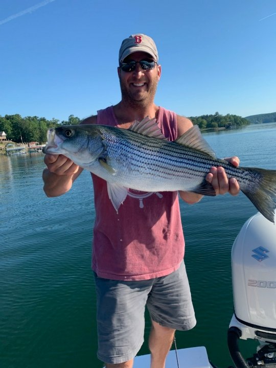 Smith Lake Fishing Adventures Gallery Striped Bass Fishing Guide AL