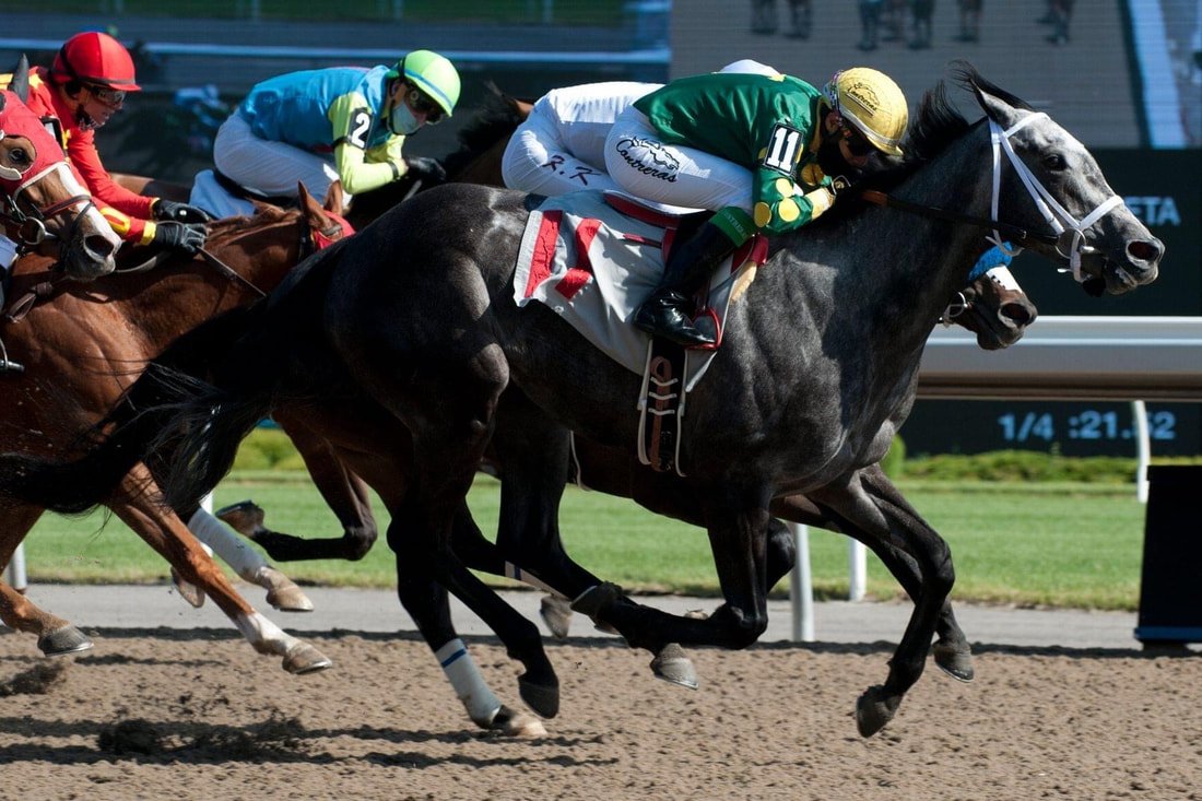 Successful Opening Day at Woodbine Racetrack