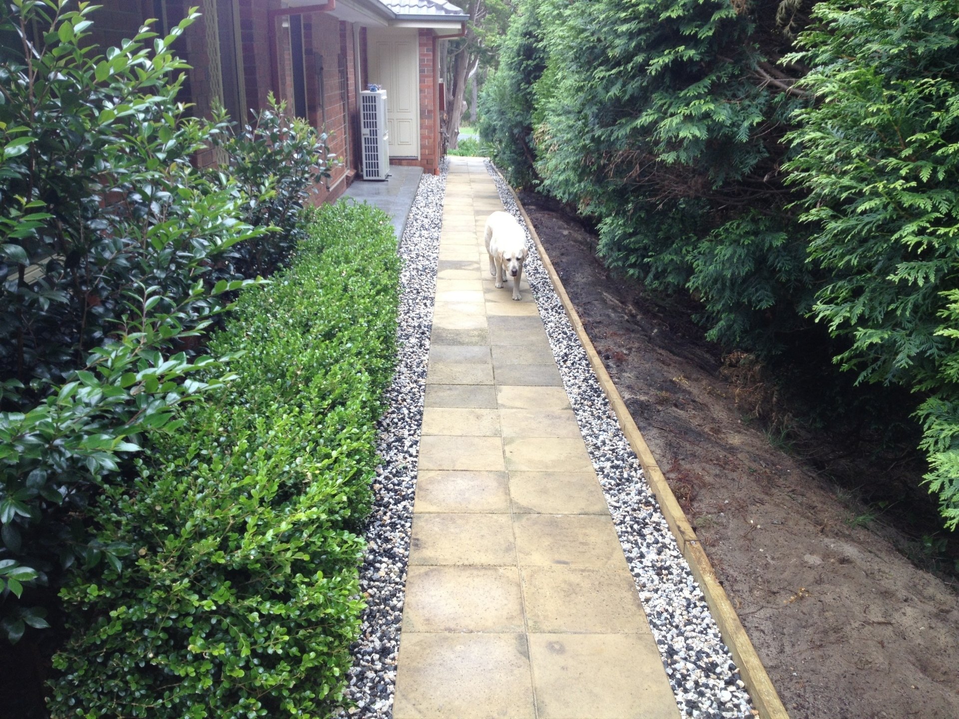 Soft and Hard Residential Landscaping Designs Bowral