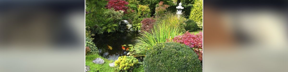 kingscliff hire and landscape supplies beautiful garden