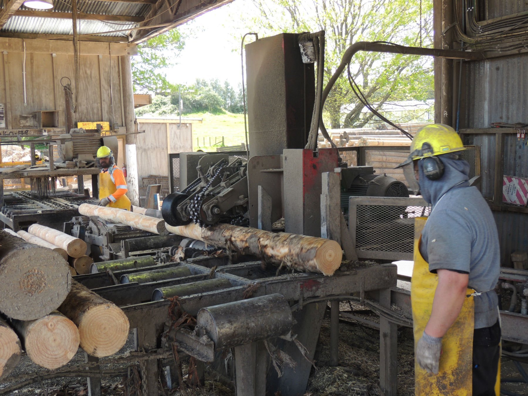 Roundwood poles and products North Island Roundwood New Zealand