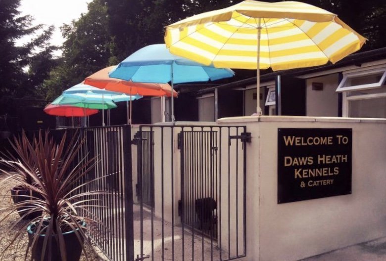 Dog boarding kennel Daws Heath Kennels and Cattery