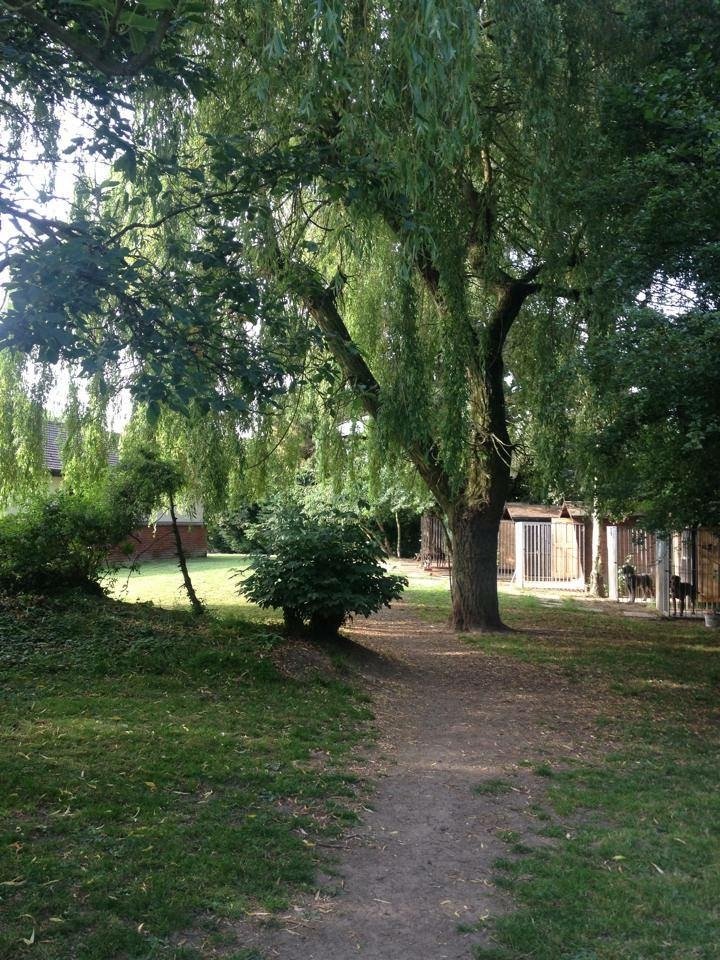 Brunswick Dog Kennels Essex Brunswick Dog Kennels Essex