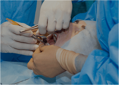 Chirurgia odontostomatologica