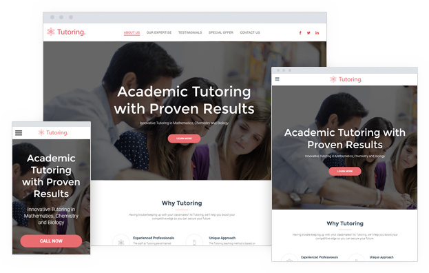 Academic Tutor