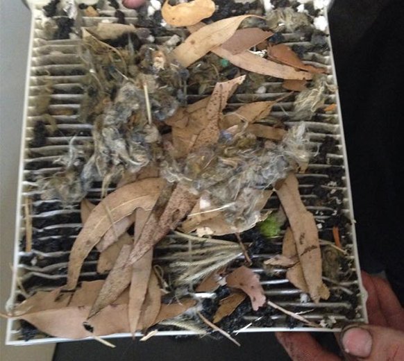 Air Conditioning Repairs in Noosa Noosa Mechanical