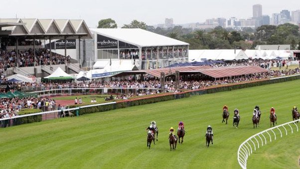 clay and minerals harpers field oval