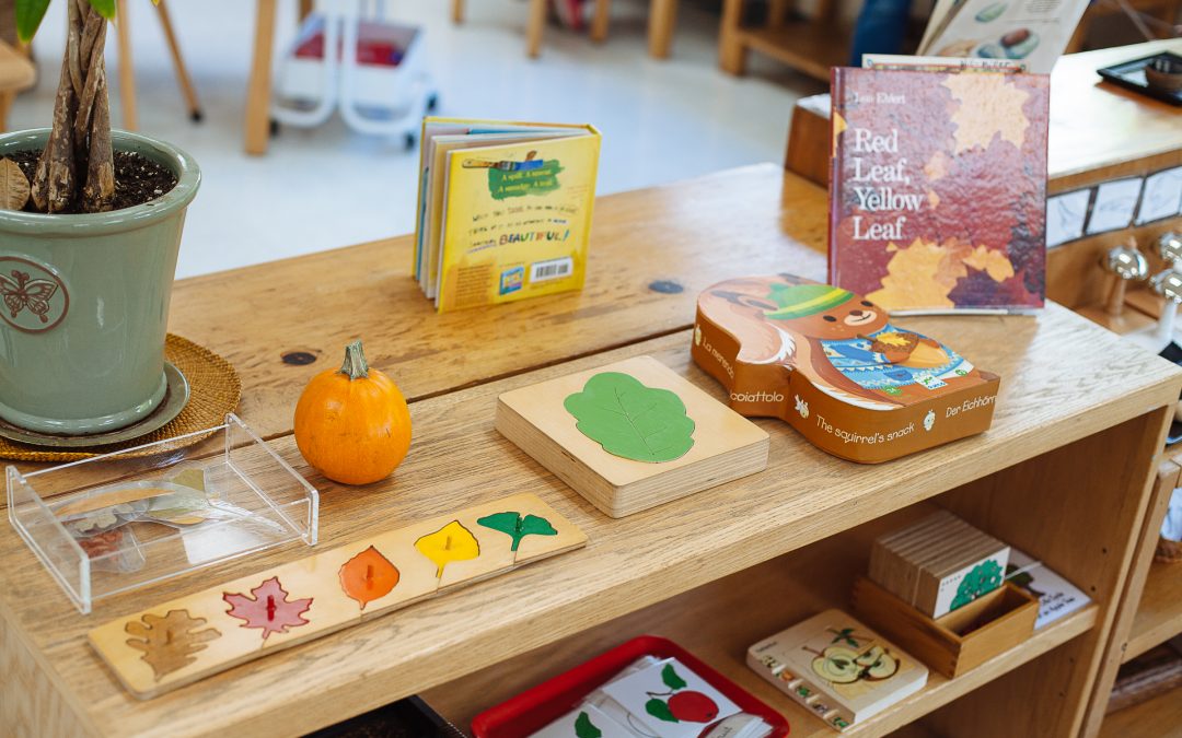 Montessori at Home A HowTo Guide For Parents