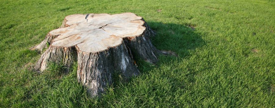 Tree lopping services across the Yorke Peninsula.