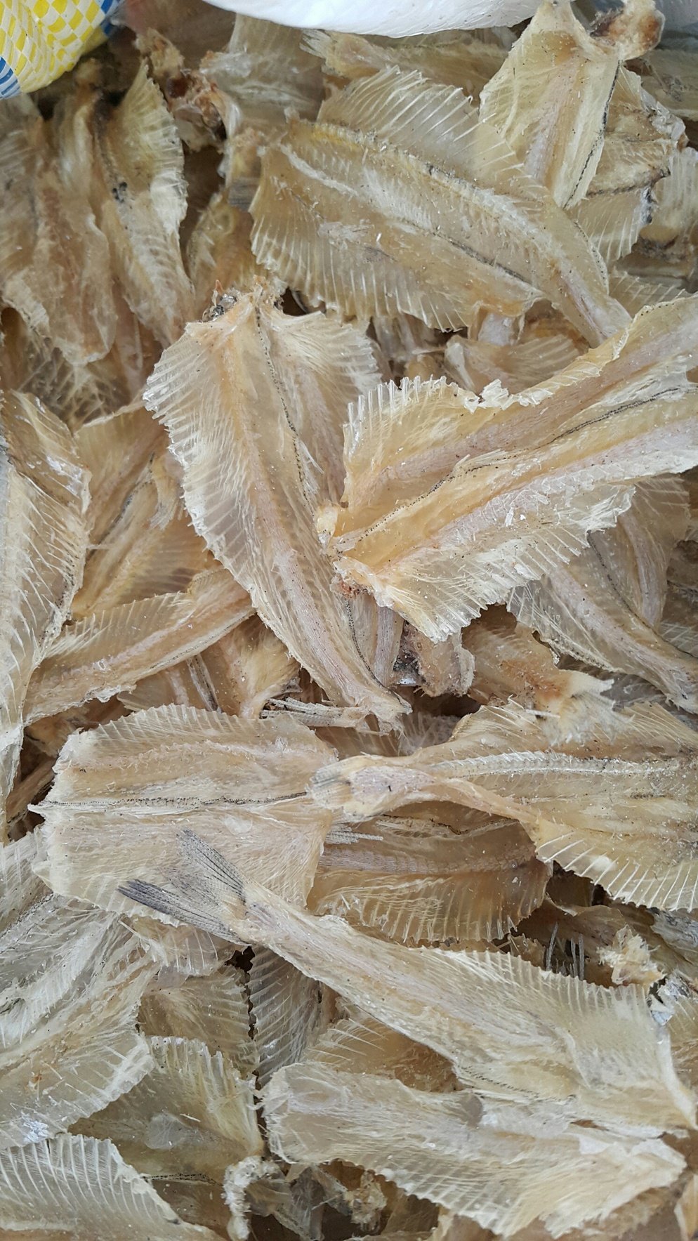 Dried Seafood Supplier Malaysia LSK Fishery Sdn. Bhd.
