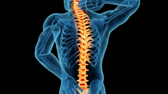 Chiropractic and the Spine