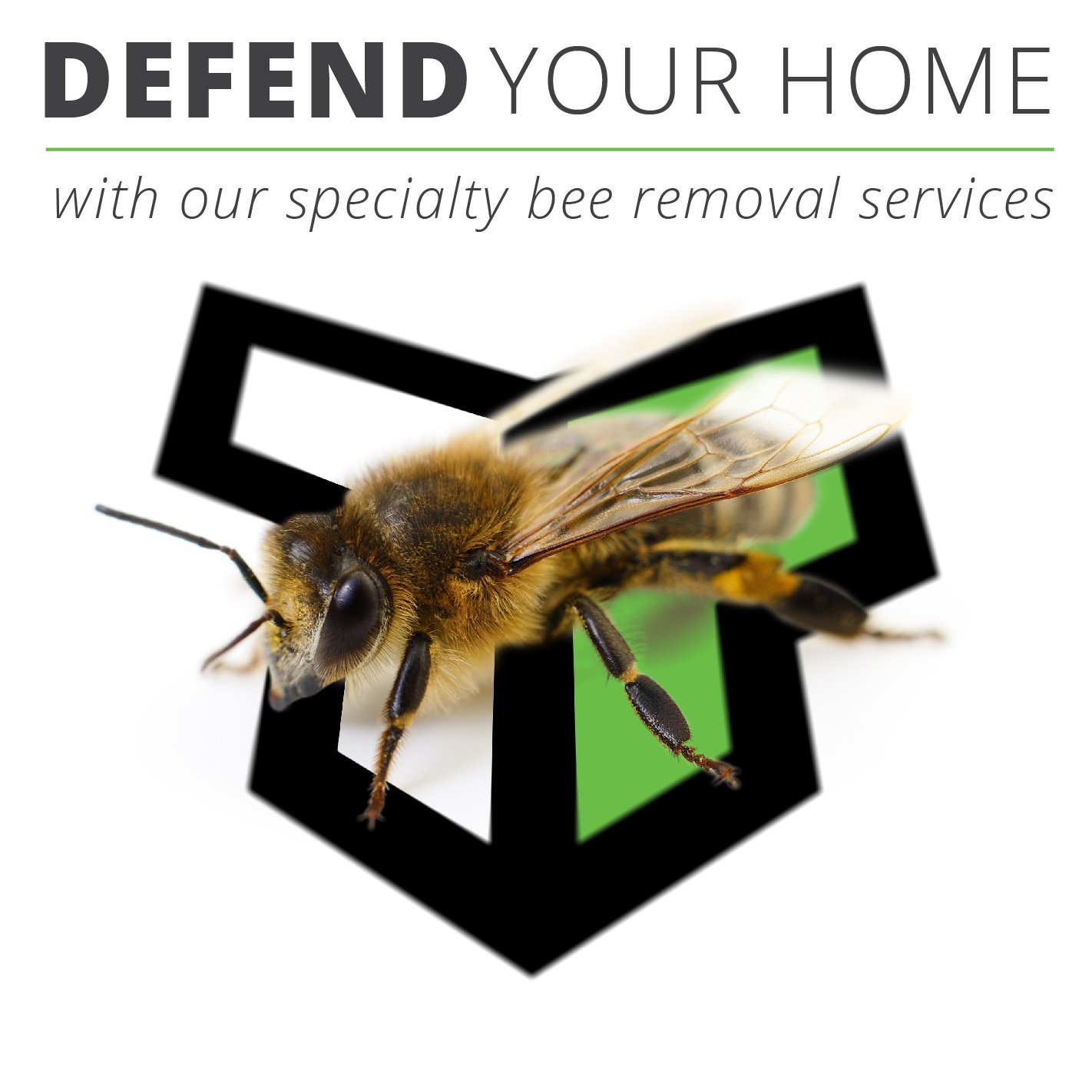 TruForce Pest Control™ Powerful Home & Commercial Defense