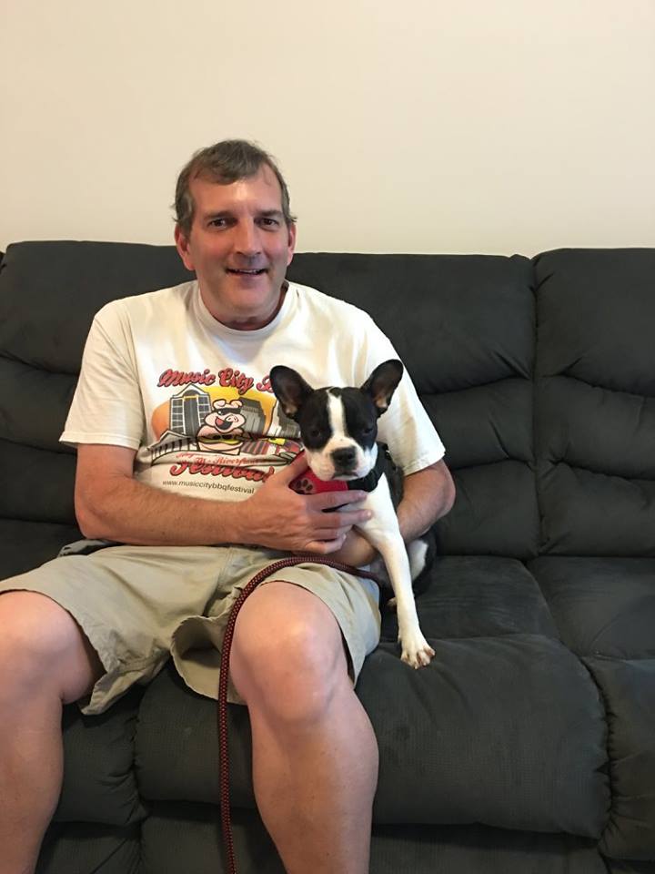 Dog Training Nashville, TN The Homeschooled Hound