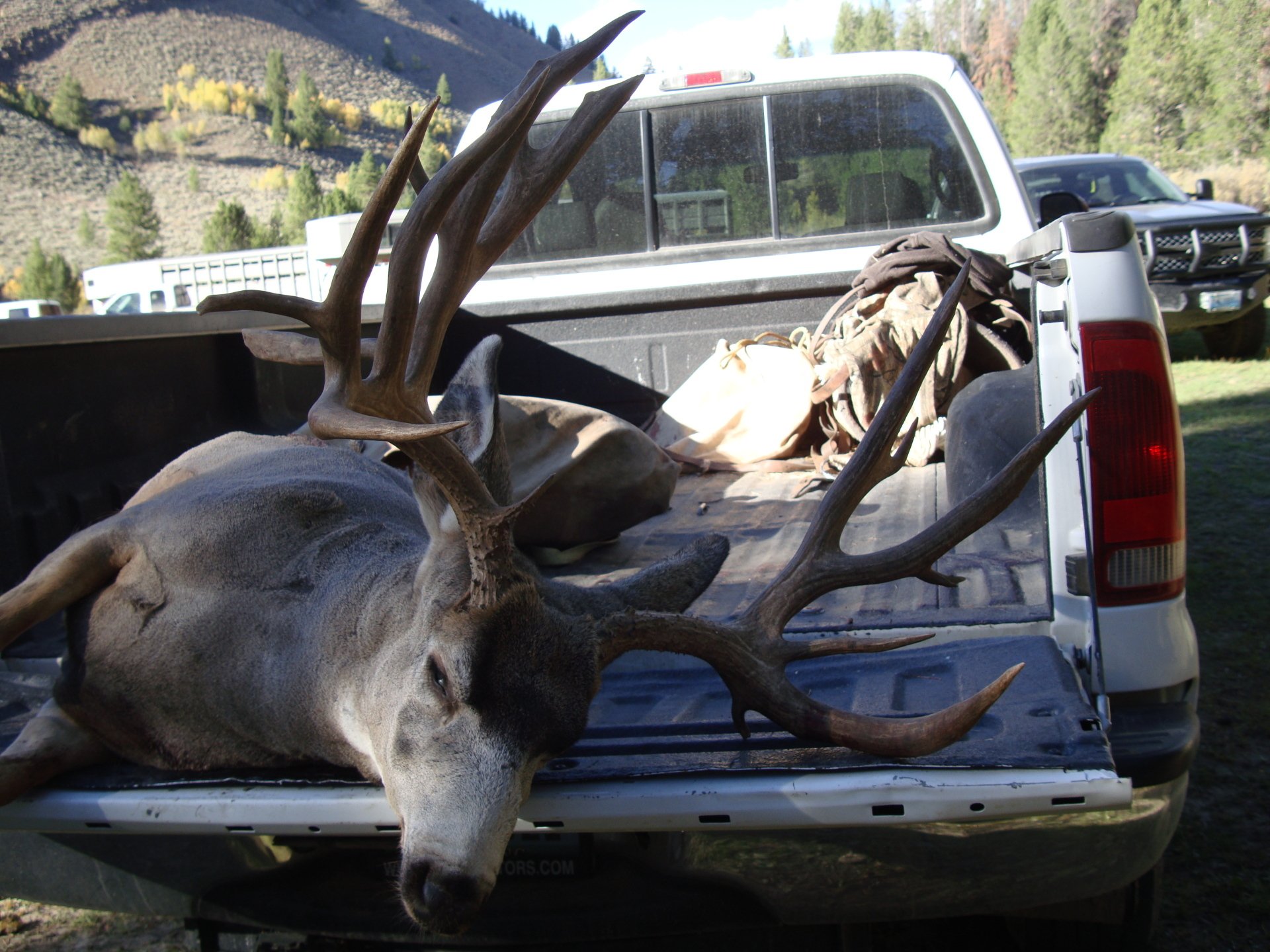 WYOMING MULE DEER REGION G NONTYPICAL OUTFITTERS