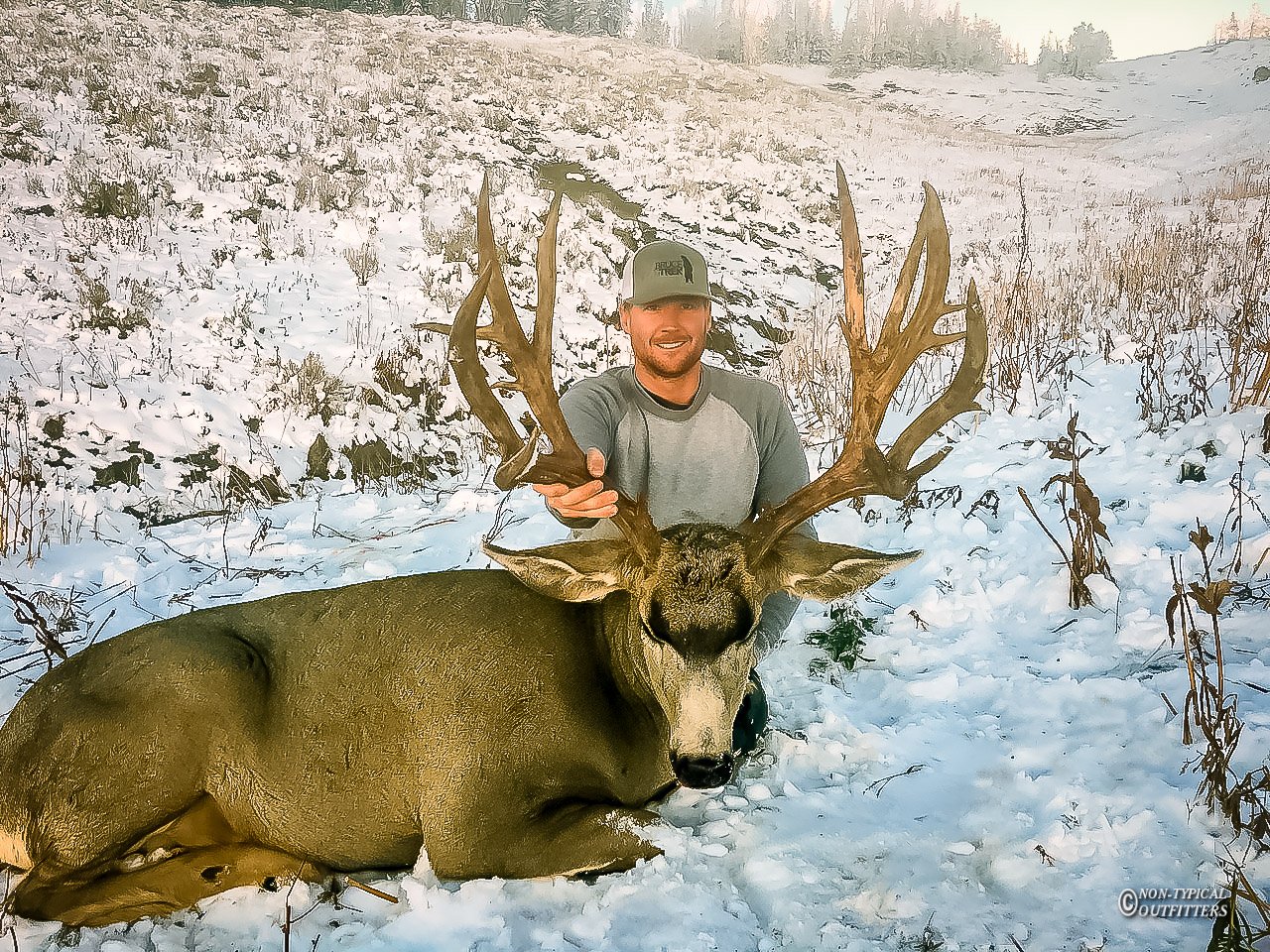 WYOMING MULE DEER REGION G NONTYPICAL OUTFITTERS