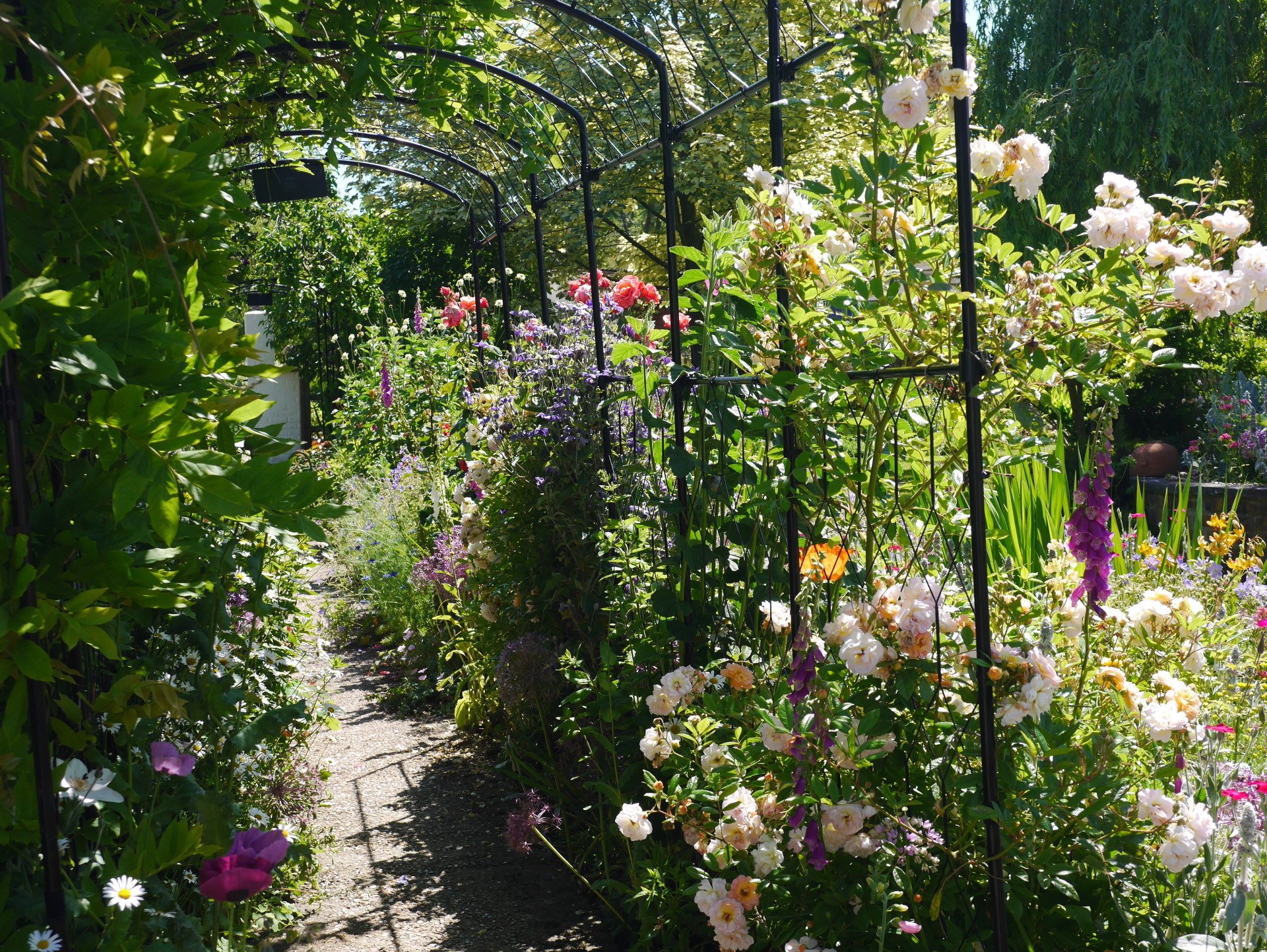 Woodgate Farm Bed & Breakfast, Beckley East Sussex