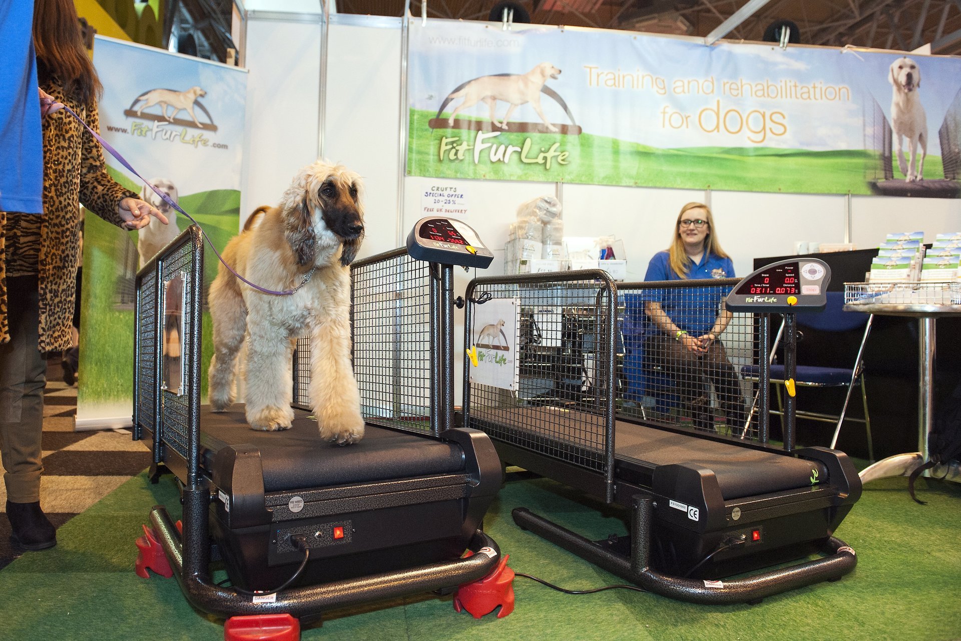 StateOfTheArt Dog Exercise Equipment