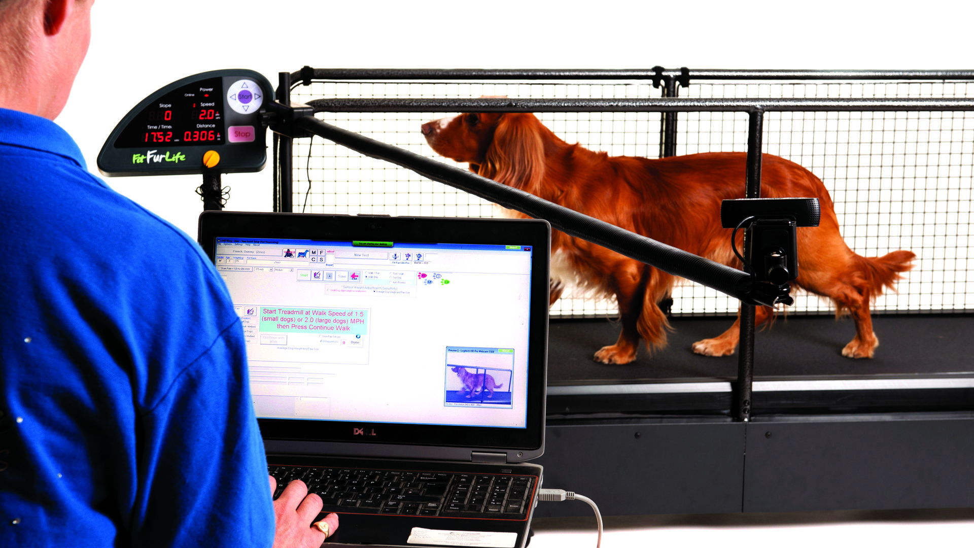 State-Of-The-Art Dog Exercise Equipment