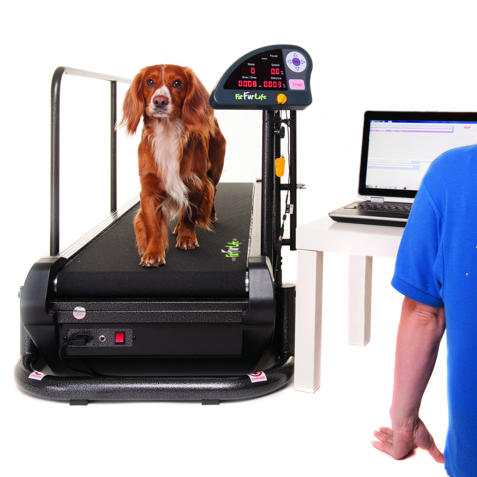 State-Of-The-Art Dog Exercise Equipment