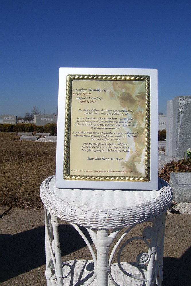 White Dove Release for a Wedding or Funeral Rent Wedding Doves in NJ