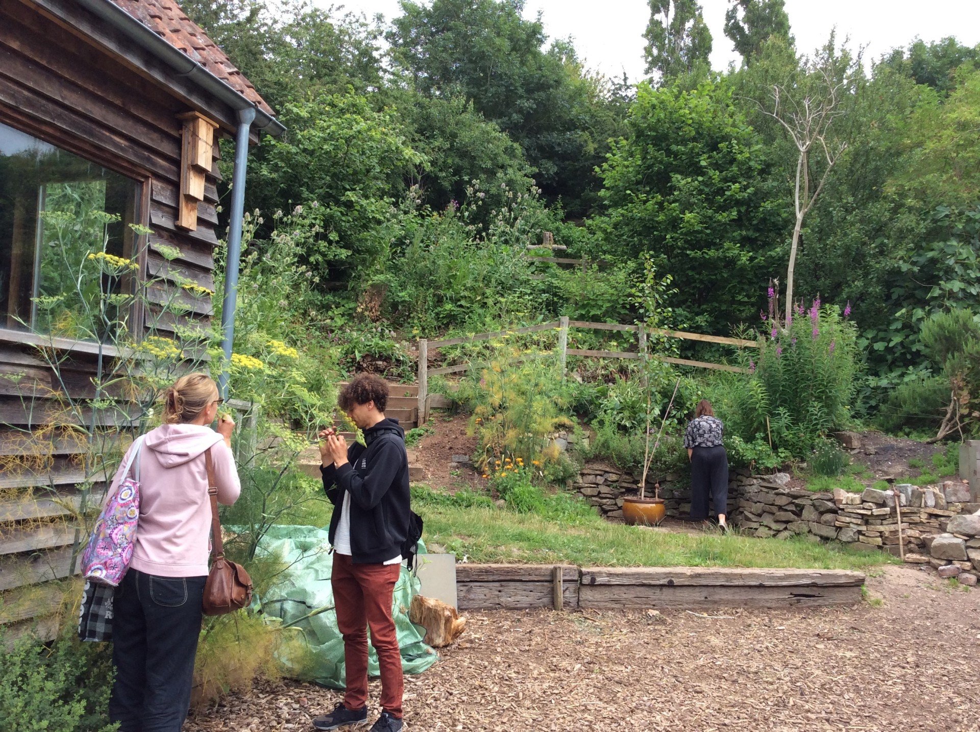 at Windmill Hill City Farm