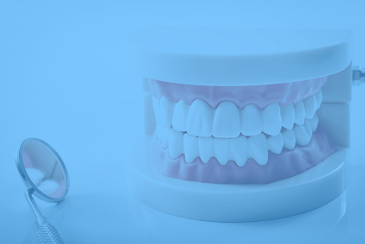Dentist Near Me | Affordable Dentist in Zephyrhills