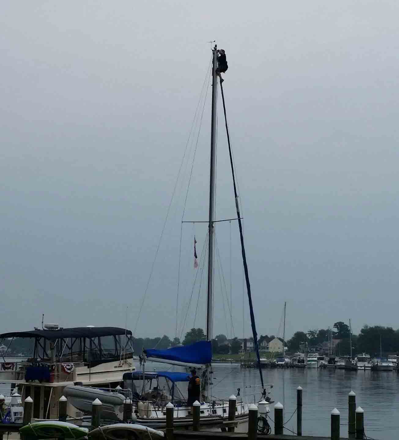 Marine Plus LLC gallery