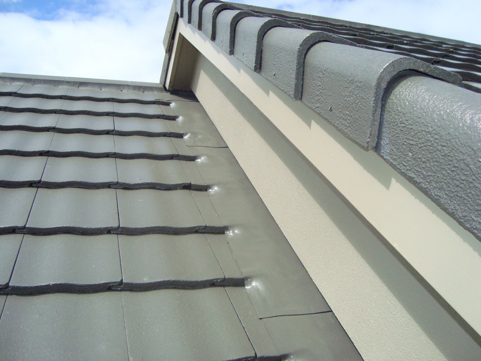 Roofing & Spouting NZ Professional, Reliable & Affordable Auckland