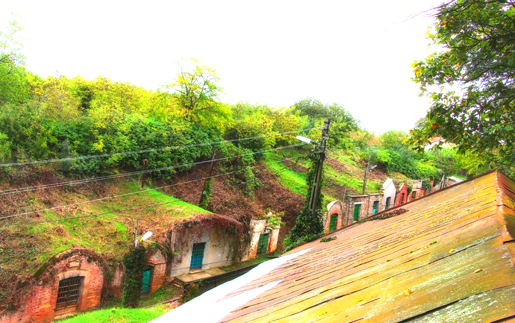 Most cellars in a village: Salacea village sets world record