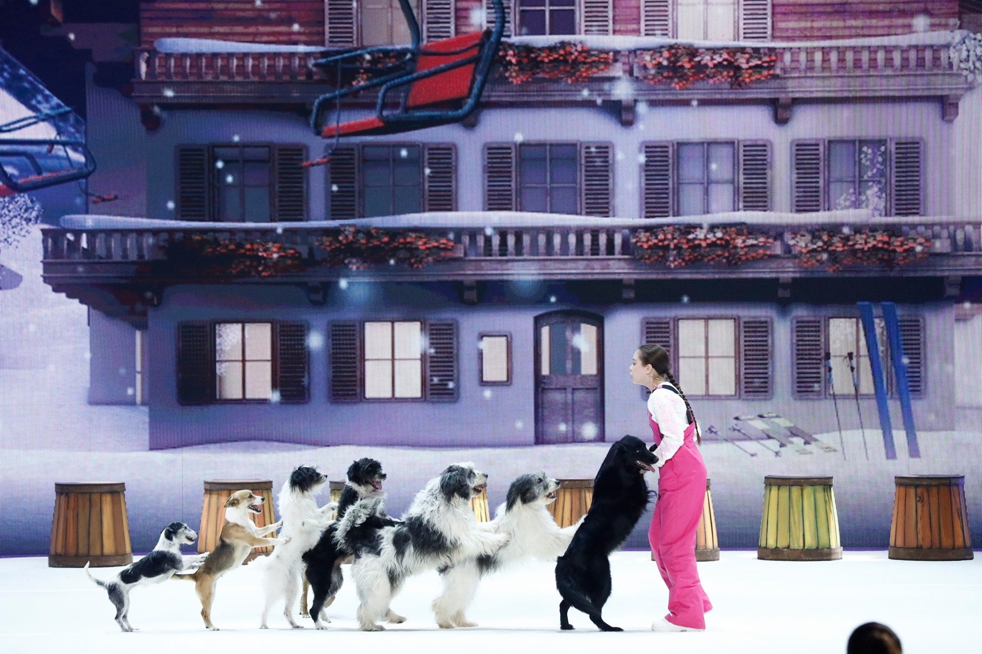 Most dogs in a conga line Alexa Lauenburger sets world record