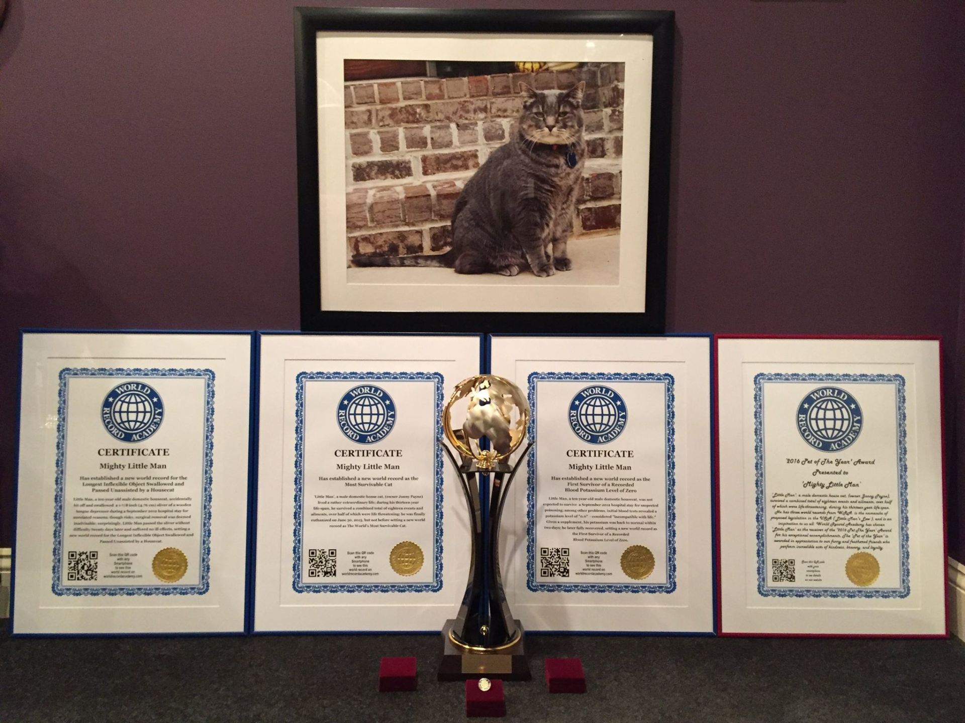 World Record Certificate from the World Record Academy