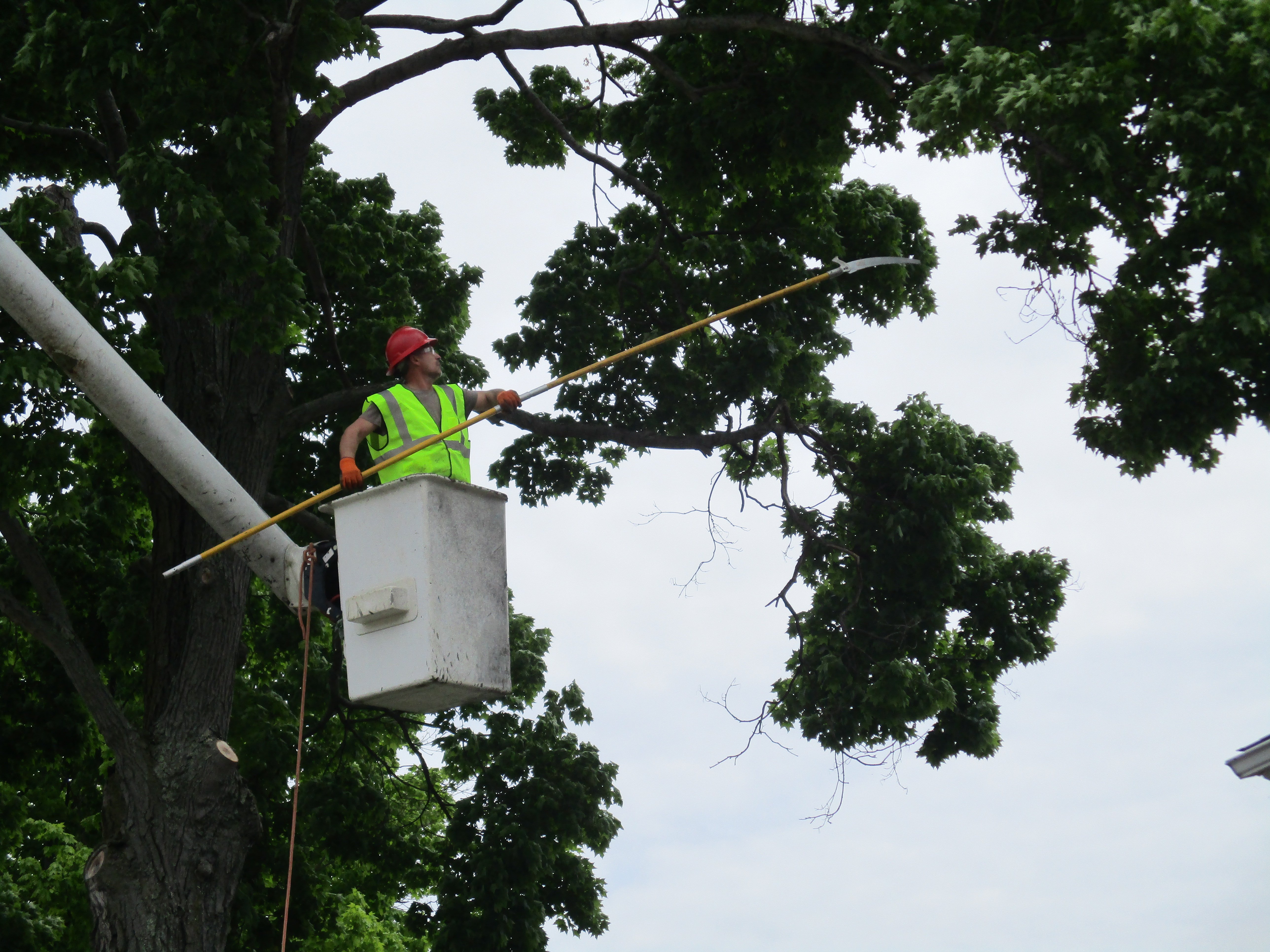 National Tree Care LLC Tree Service Millersport, OH